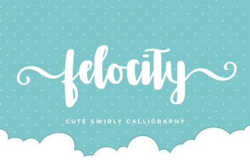 Felocity